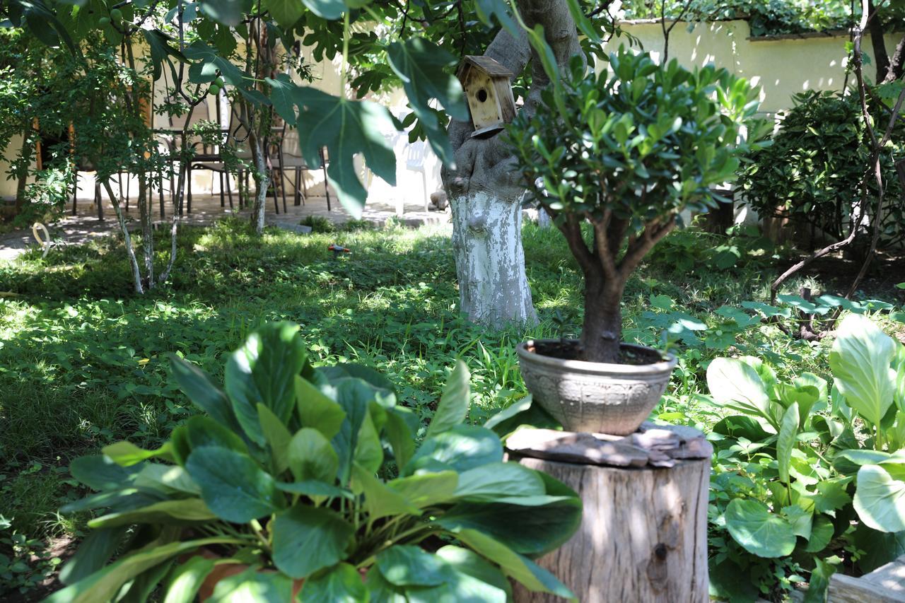 4Bd Appartaments With Cozy Garden Τυφλίδα Εξωτερικό φωτογραφία